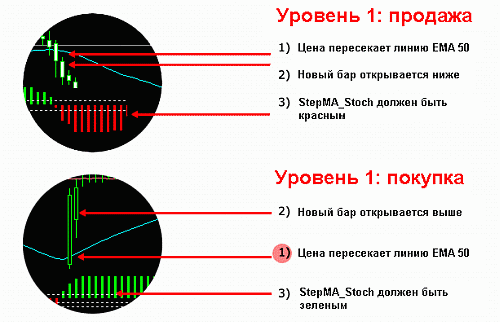 Стратегия форекс CatFX50 Стратегия форекс CatFX50