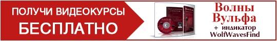 видеокурс "Волны Вульфа"