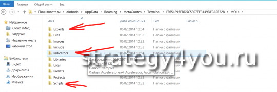 Папки советников и индикаторов