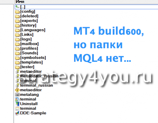 build600, а папки MQL4 нет