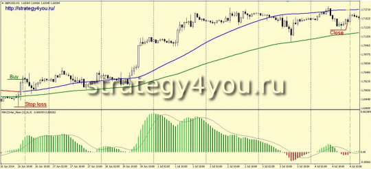 Стратегия форекс «Catch the trend»