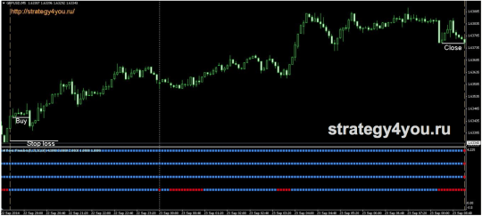 Стратегия форекс «Свобода»