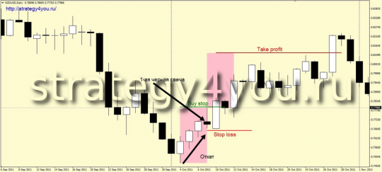 Стратегия форекс «День Икс»