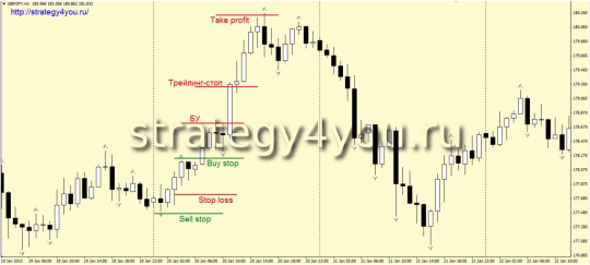Стратегия форекс «Бессонница»