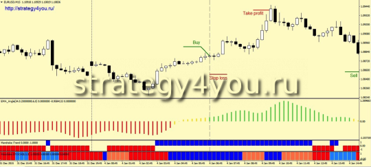 Стратегия форекс «Mandrake»