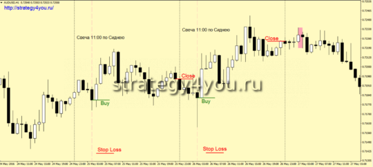 Стратегия форекс «Кенгурушка»