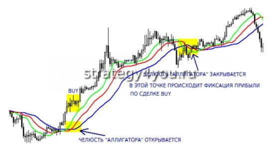 Индикатор «Аллигатор»