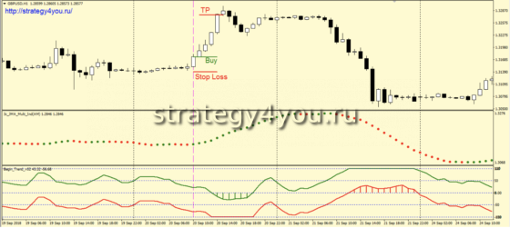 Стратегия форекс «Big Brother» - покупка
