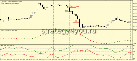 Big Brother - продажа