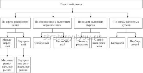 структура и работа валютного рынка