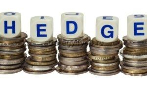 хедж
