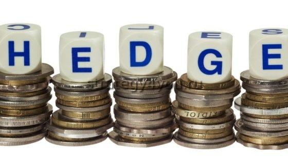 хедж