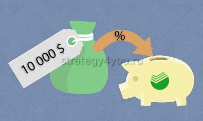 как выгодно вложить доллары