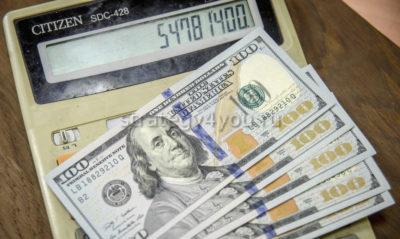 много ли денег приносят облигации