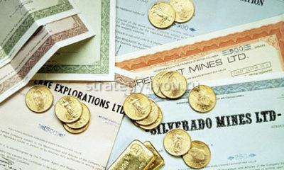 разные виды долговых ценных бумаг