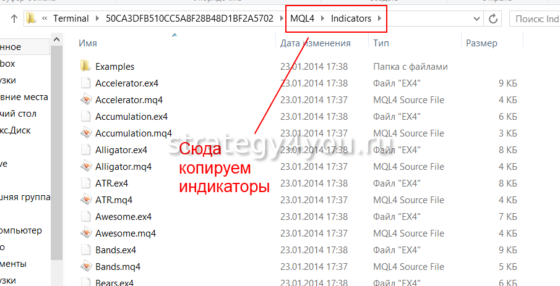 индикаторы в торговом терминале
