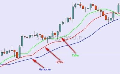 как работать по системе аллигатор