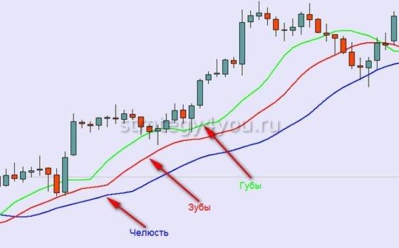 как работать по системе аллигатор