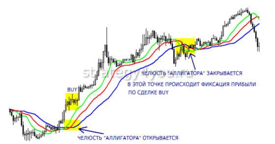 составляющие торговой системы аллигатор