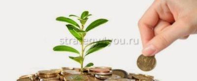 стоимость пая