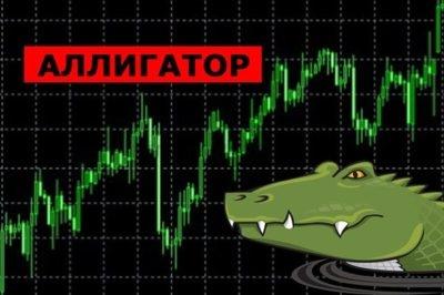 торговая система аллигатор