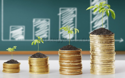 инвестиционный вклад как сделать