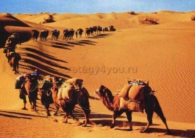 караван в пустыне