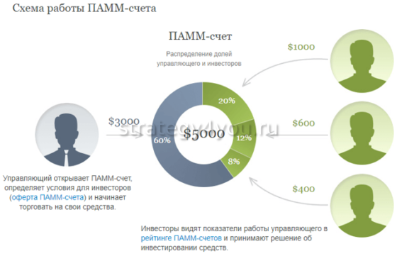 схема работы памм счета