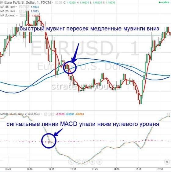 “Дровосек” система