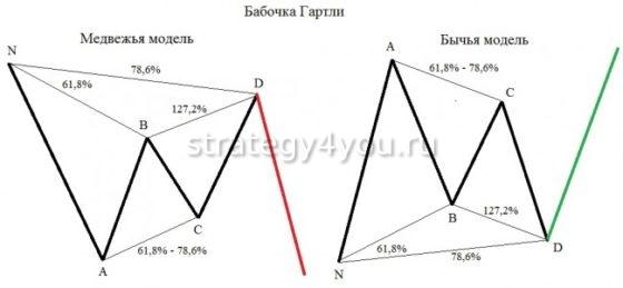 какая бывает бабочка гартли