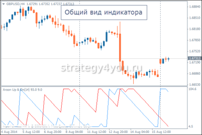 Индикатор Aroon общий вид