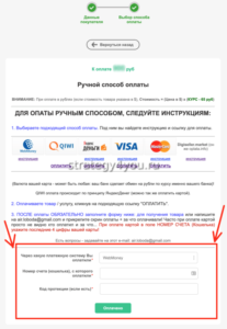 заполнение формы после оплаты