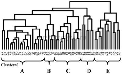 Что такое кластерный анализ в трейдинге