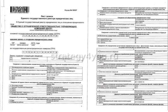 как выглядит выписка из егрюл