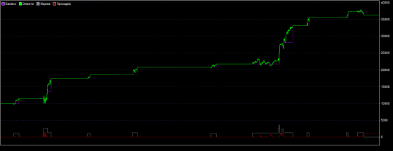 день икс тест 1