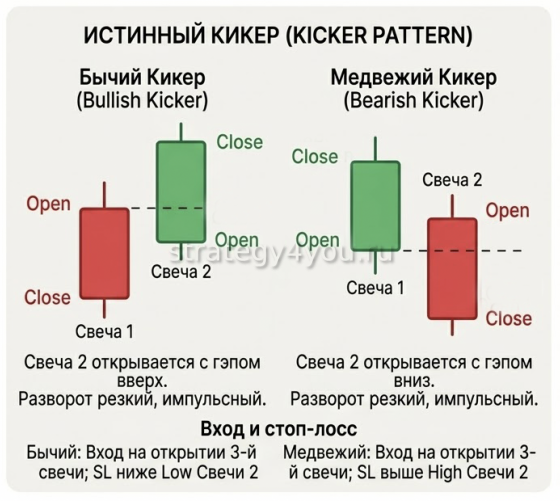 2 модели кикер